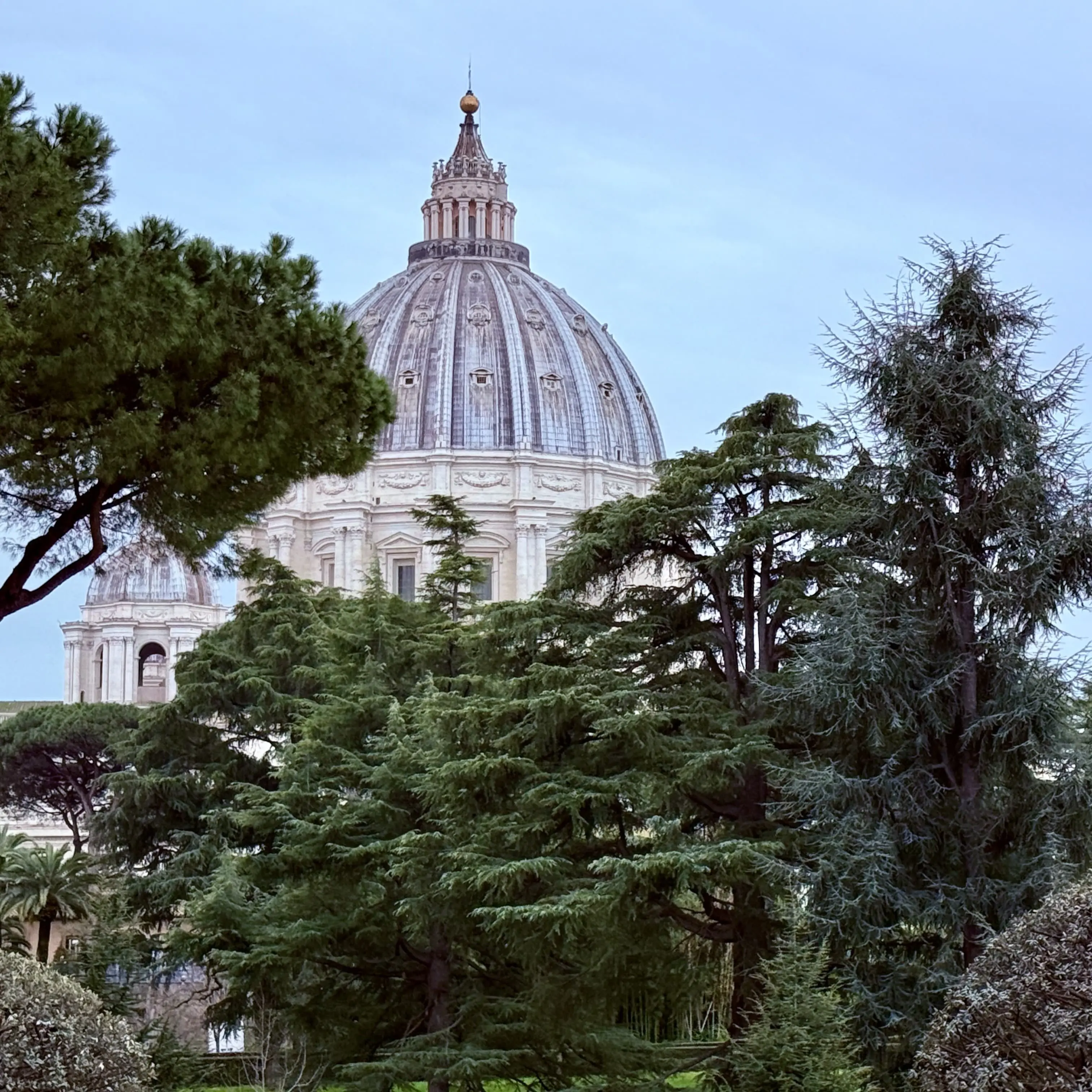 Arvish in Italy – Dolce Vita project snapshot