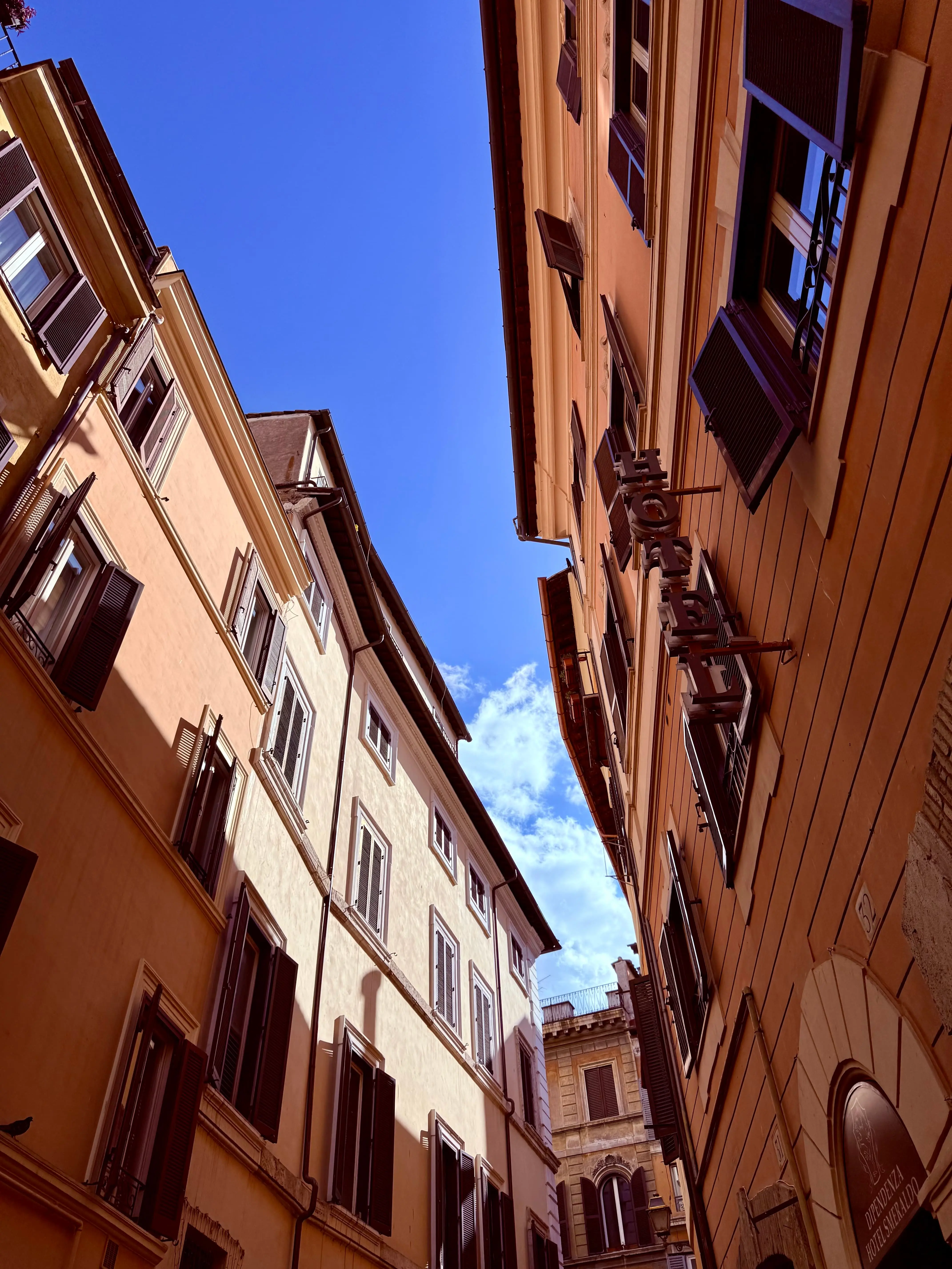 Arvish in Italy – Milan project snapshot
