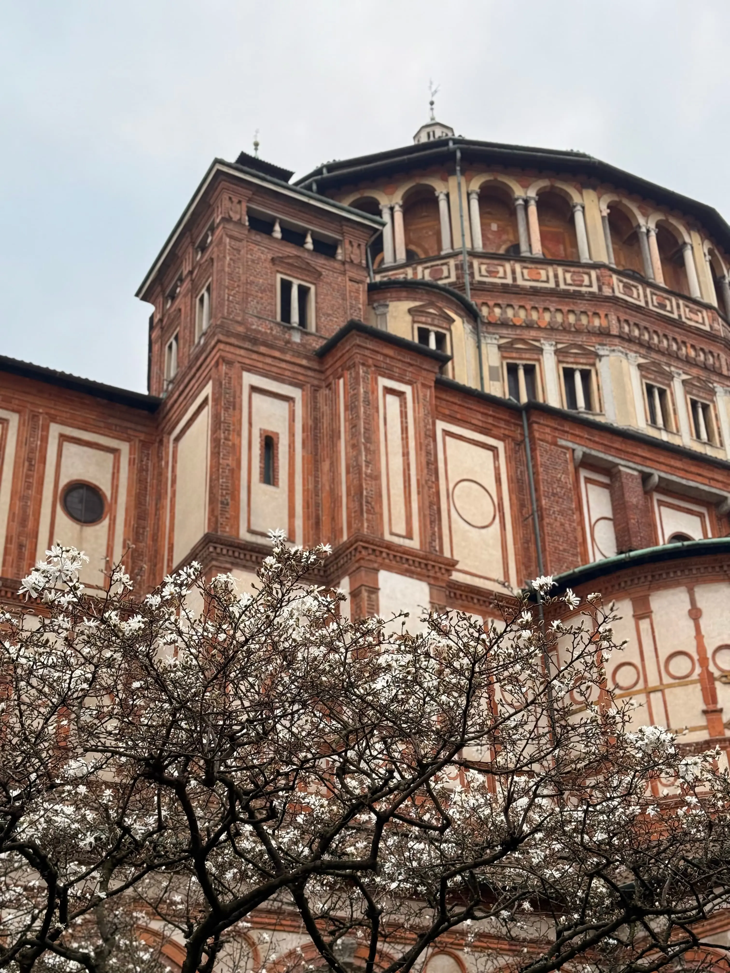 Arvish in Italy – Milan project snapshot